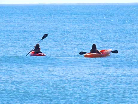 Kayak on the ocean with dophiins